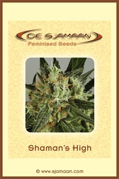 Shaman's High #2