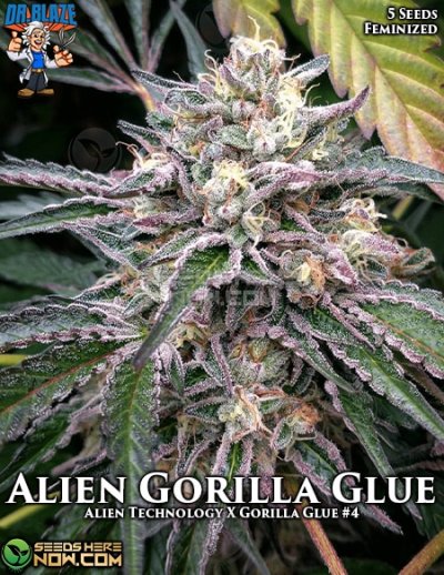 Alien Gorilla Glue
