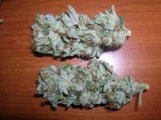 HeadBand