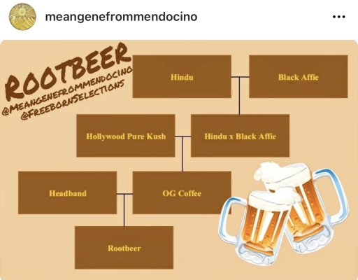 Rootbeer