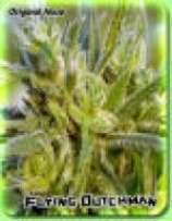 The original Haze