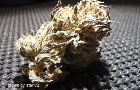 White Funk