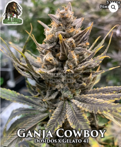 Ganja Cowboy