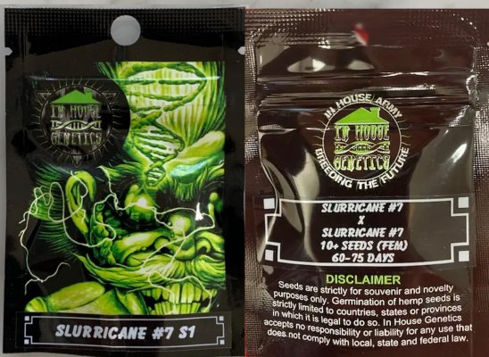 Slurricane #7 S1