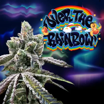 Over The Rainbow