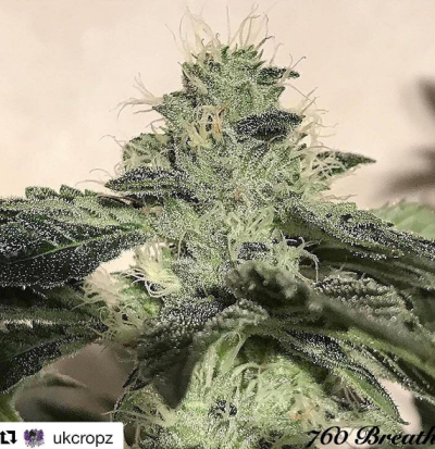 760 Breath
