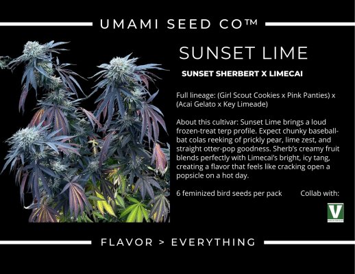 Sunset Lime