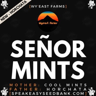 Señor Mints