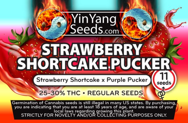 Strawberry Shortcake Pucker