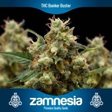 THC Bunker Buster