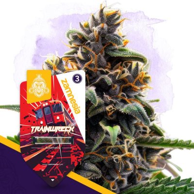 Trainwreck Automatic