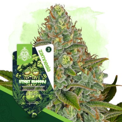 Sticky Broccoli Automatic