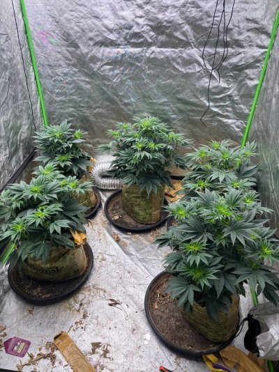 IMG_0558.jpeg