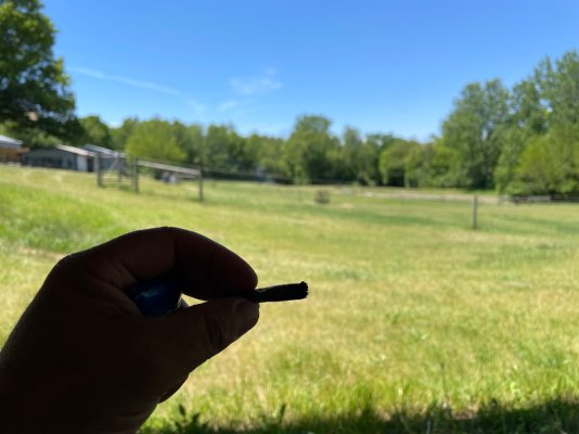 IMG_5020.jpeg