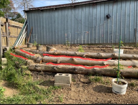 Eternal Sun 2026 outdoor garden grow