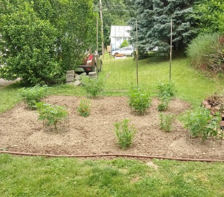 2026 Outdoor Grows! let's see em!