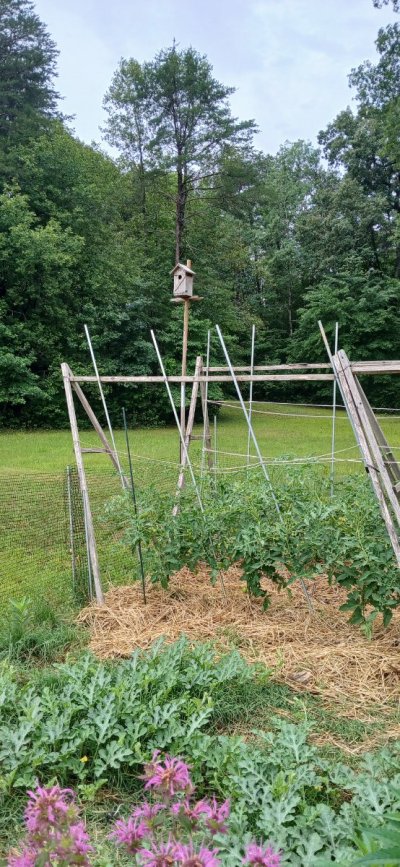 Outdoor Gardeners / Growers. Let's Talk-Show Gardens-Soil-Methods-Pests-Critters-Gardening Kind Of Stuff!