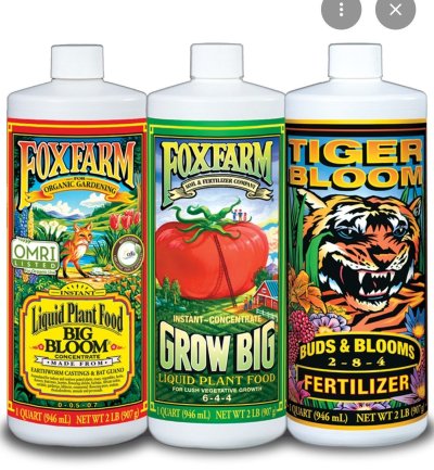 Screenshot_20260628_211624_Google.jpg