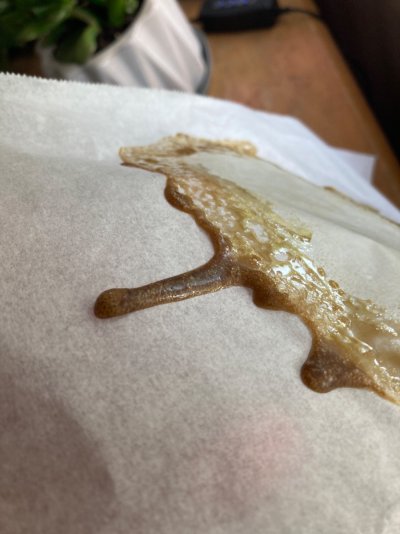 Big Al’s 2025 season indoor/outdoor grow in misery