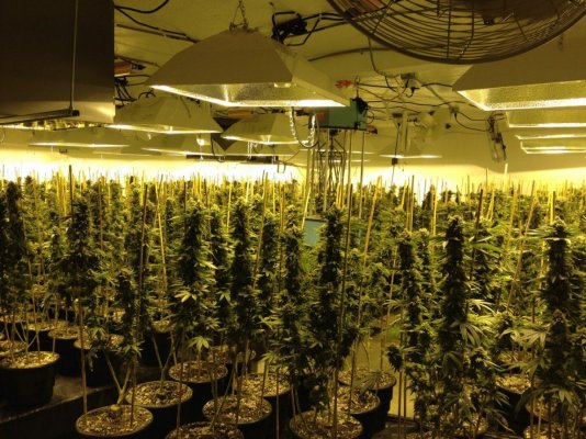Aptus nutrients
