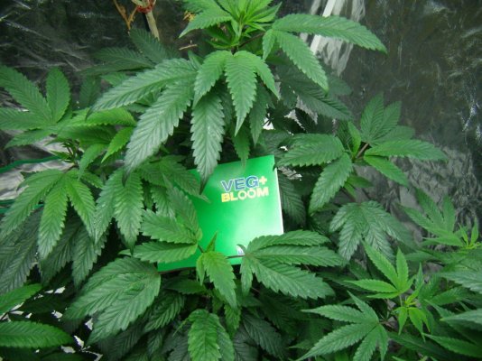 GEDC9741.JPG