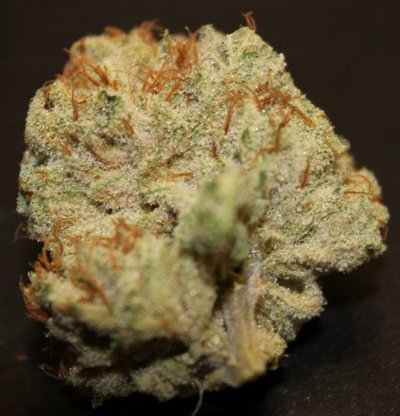 venoms-multi-strain-thread.jpg