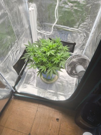 20260704_092658.jpg