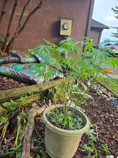 1st Time OUTDOORS!