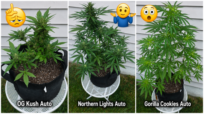 2026 Outdoor Grows! let's see em!