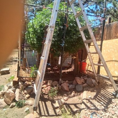 Transitioning to outdoors