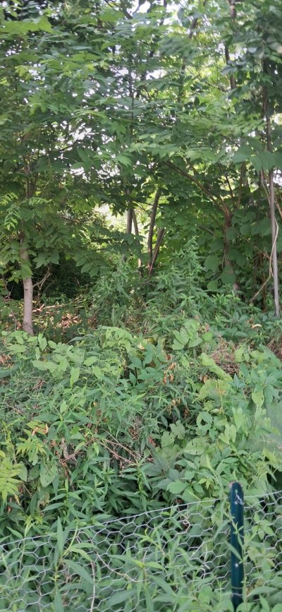 20260727_155257.jpg