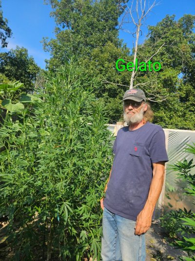 2026 Outdoor Grows! let's see em!