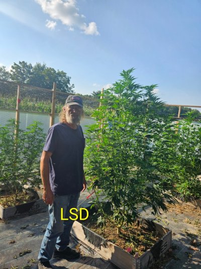 2026 Outdoor Grows! let's see em!