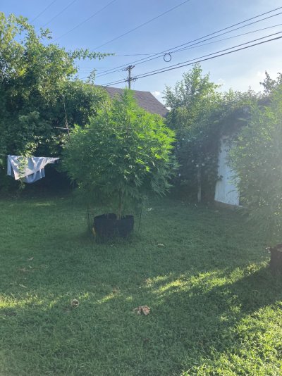 IMG_3650.jpeg