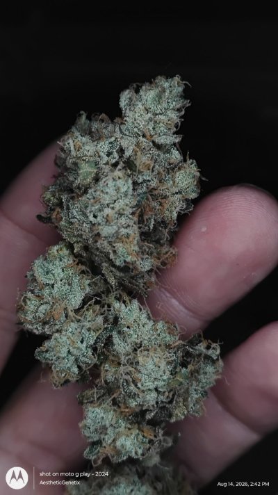 IMG_20260814_144222869_HDR.jpg