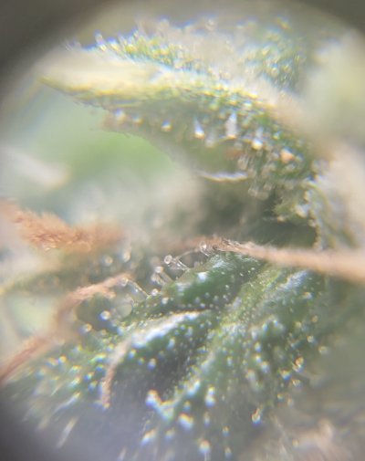 20260819_161333.jpg
