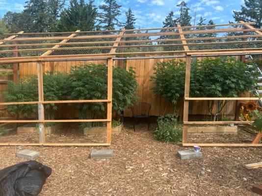 2026 Outdoor Grows! let's see em!