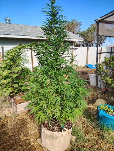 IMG_20260828_091837609_HDR.jpg