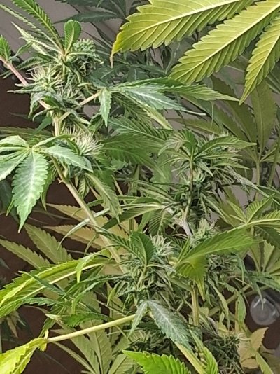 20260830_121222.jpg