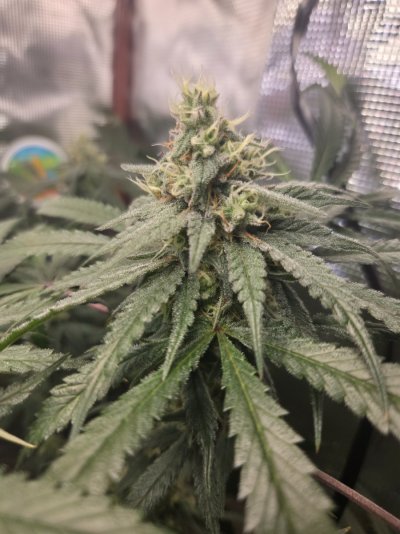 20260912_203347.jpg