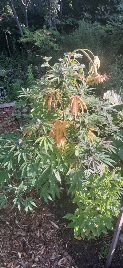20260919_074910.jpg