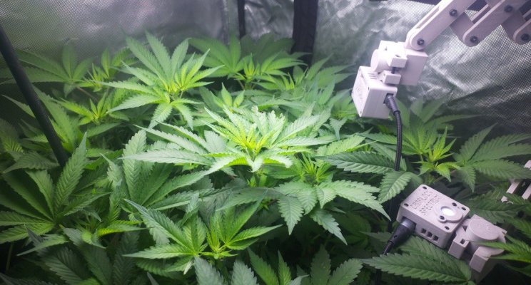 week-2026-09-20_1114.jpg