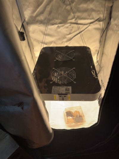 tent2.jpeg