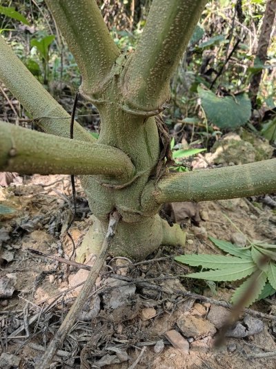 IMG_20260917_152000539_HDR.jpg
