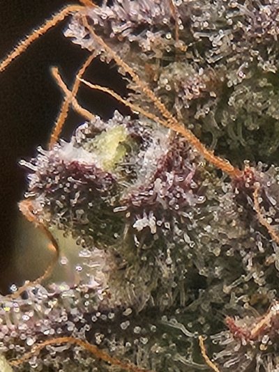20260819_224024.jpg