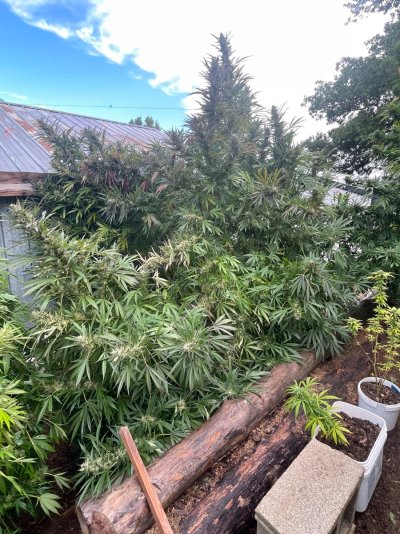 IMG_6457.jpeg