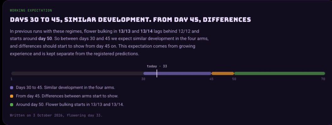 overgrow-day33-expectation.jpg