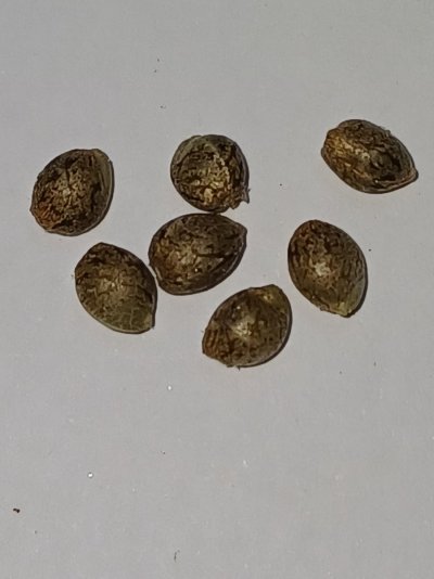 20261008_181300.jpg