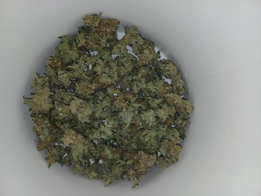 Acapulco Gold.jpg
