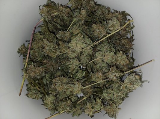 San Fernando Valley x The Purps .jpg